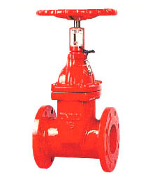 ��̖���������l�y