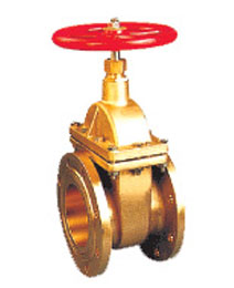 �S�~���m�l�y