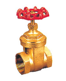 �S�~��ͨ���l�y